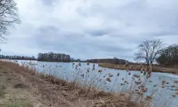 Rezerwat przyrody Stawy Raszyńskie: Odkryj jego unikalne bogactwo natury