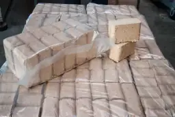 Gotowe brykiety ze zrębków, idealne do palenia. Dowiedz się, jak zrobić brykiet ze zrębków, by ogrzać dom ekologicznie.