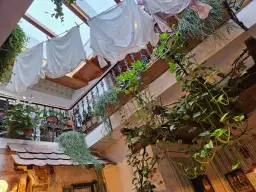 Maribor gdzie zjeść - najlepsze miejsca na lokalne przysmaki