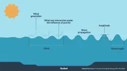 Ilustracja pokazuje, jak powstają fale na morzu: wiatr generuje energię, która oddziałuje z wodą, tworząc fale o określonej amplitudzie i długości.