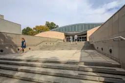 Muzeum Sztuki Japońskiej w Krakowie: co zobaczysz i dlaczego warto odwiedzić