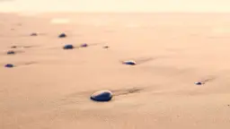 Kamienie na piaszczystej, dzikiej plaży, jak przebój Stana Borysa, tworzą ślady na piasku.