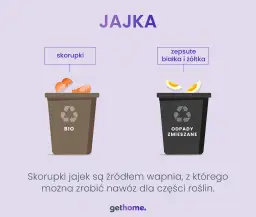Wytłaczanki na jajka: gdzie wyrzucić? Papier, plastik, styropian
