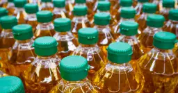 Wiele butelek oleju roślinnego z zielonymi nakrętkami.