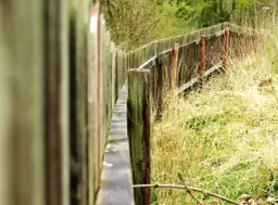 Jak wysoki płot można postawić bez pozwolenia i uniknąć problemów