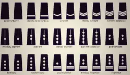 Ile naprawdę zarabia starszy sierżant w policji? Sprawdź, czy to się opłaca!