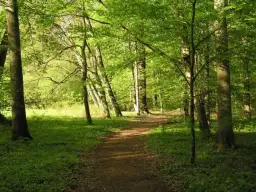 Rezerwat przyrody Hedera: co warto wiedzieć przed odwiedzeniem tego wyjątkowego miejsca