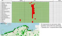 Bałtyk: Jaka woda? Zasolenie, temperatura, sinice pełna prawda