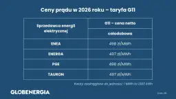 Ile kosztuje punkt elektryczny 2026? Ceny, koszty, porady