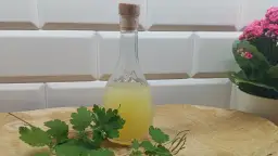 Balsam Bołotowa na co pomaga: Odkryj jego niezwykłe właściwości zdrowotne