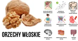 Orzechy włoskie są zdrowsze niż myślisz: 7 kluczowych korzyści dla zdrowia