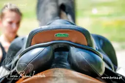 Jak zmierzyć konia pod siodło, aby uniknąć kosztownych błędów