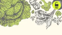 Zasady pisowni niezdrowo czy nie zdrowo - jak pisać poprawnie w języku polskim