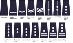 Stopnie w policji co ile lat? Szczegółowe terminy awansów 2025-2025