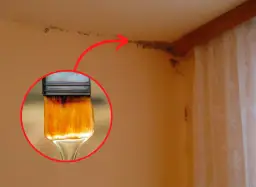 Skuteczne domowe sposoby na usunięcie grzyba ze ścian bez chemii