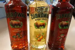 Ile kosztuje karton wódki Żubrówki? Sprawdź ceny i oferty w sklepach