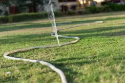 Jak uszczelnić wąż ogrodowy i uniknąć kosztownych napraw