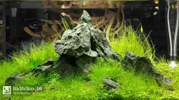 Optymalne KH i GH w akwarium roślinnym - wszystko co musisz wiedzieć