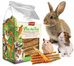 Gałązki dla królika od kiedy? Bezpieczne terminy i rodzaje do zbioru