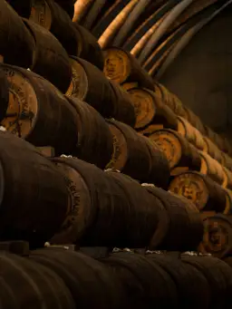 Jak pokochać rum w 5 krokach – przewodnik z karaibskim klimatem