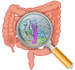 Jak mikroflora jelitowa wpływa na Twoje zdrowie? Dowiedz się.
