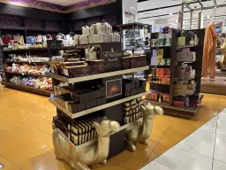 Co warto kupić na lotnisku w Dubaju: 10 najlepszych okazji cenowych