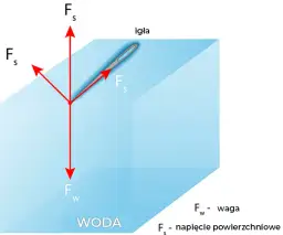 Wszystko co musisz wiedzieć o zjawisku napięcia powierzchniowego - kompendium