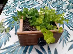 Z czego zrobić donice? Odkryj kreatywne materiały i pomysły