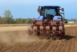 Siewnik do warzyw punktowy - jak wybrać najlepszy?