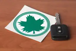 Od kiedy wchodzi zielony listek dla kierowców i co warto wiedzieć