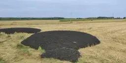 Osad z oczyszczalni na pole: prawne zasady i bezpieczne stosowanie nawozów