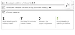 Co bank widzi w BIK? Kluczowe informacje dla kredytobiorców