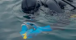 Dlaczego w serialu  Rekrut nie pokazano delfinów w policji morskiej?