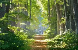 7 skutecznych sposobów jak odnaleźć spokój duszy i wewnętrzną harmonię