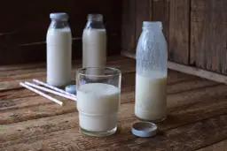 Poznaj prawdę o maślance: 7 zaskakujących korzyści dla zdrowia i urody