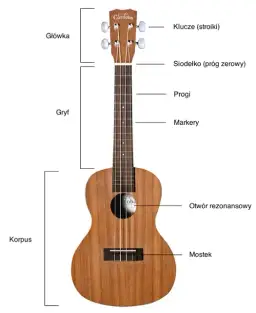 Jakie ukulele dla początkujących: wybierz najlepszy model bez błędów