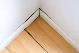 Czym wypełnić szpary w parkiecie? Najlepsze materiały i metody naprawy