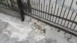 Czym zasłonić bramę wjazdową, aby zyskać prywatność i styl?