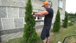 Jak prawidłowo przycinać tuje Szmaragd, aby uniknąć błędów i zachować ich piękno