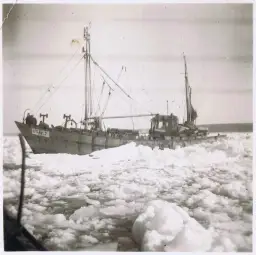 Kiedy ostatnio zamarzł Bałtyk? Zaskakująca historia lodu na morzu