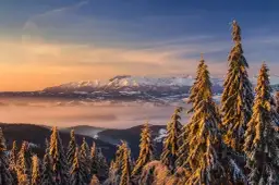 Jakie szlaki w Zakopanem dla początkujących - łatwe trasy z widokami