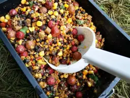 Jak ugotować kukurydzę na ryby: skuteczna przynęta, która nęci karpie