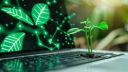 Chia - Nowa kryptowaluta - Warto rozważyć inwestycję?