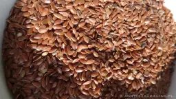 Ile kalorii ma siemię lniane: pełny poradnik kontroli kaloryczności