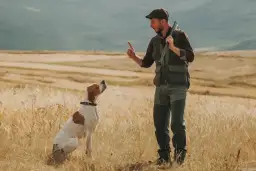 Jak wytresować psa myśliwskiego: kompletny poradnik od podstaw do polowań