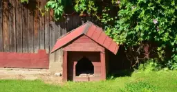 Jak zrobić ocieplaną budę dla psa – krok po kroku z materiałami