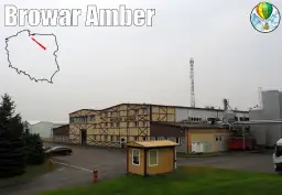 Gdzie kupić piwo złote lwy? Nie trać czasu na szukanie!