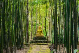 Cytaty buddyzmu, które zmienią twoje spojrzenie na życie i szczęście