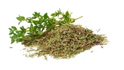 Skuteczny napar na kaszel z domowych ziół - prosty przepis krok po kroku