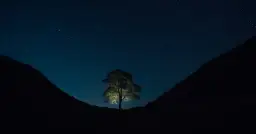 Gwiazdy na niebie vs polskie gwiazdy kina - co łączy?